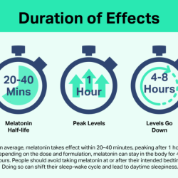 Does melatonin shrink your balls