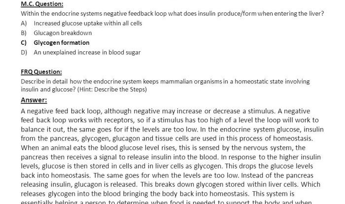 Feedback mechanisms