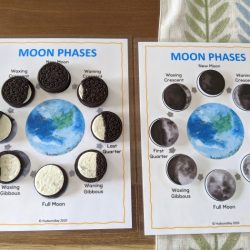 Phases of the moon flashcards