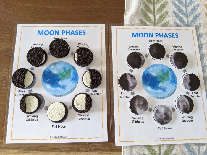 Phases of the moon flashcards