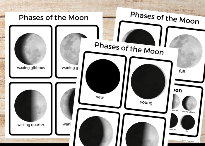 Phases educational worksheet flashcards