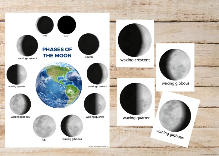 Phases of the moon flashcards