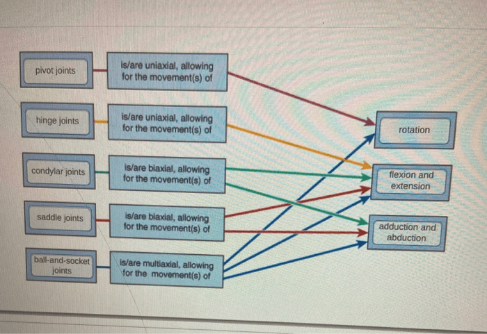 Concept map synovial joint movements