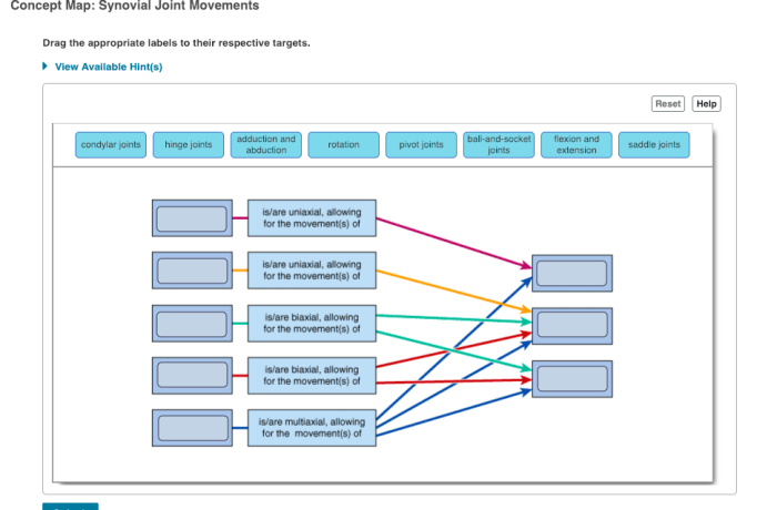 Concept map synovial joint movements