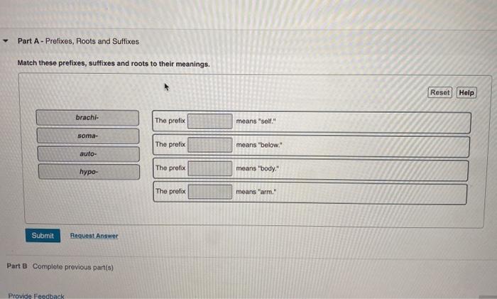 Match these prefixes suffixes and roots to their meanings. anatomy