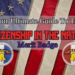 Citizenship badge merit community