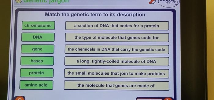 Match the term to its correct description.