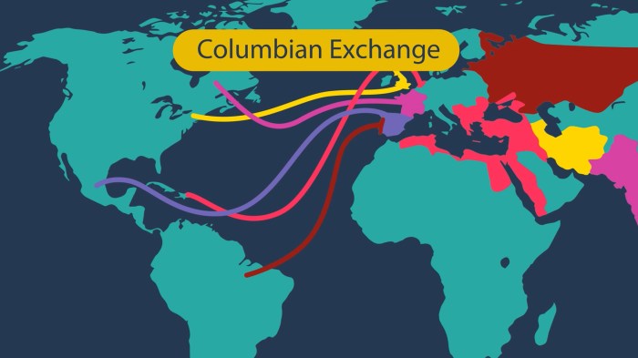 Transoceanic interconnections ap world history