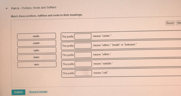 Match these prefixes suffixes and roots to their meanings. anatomy