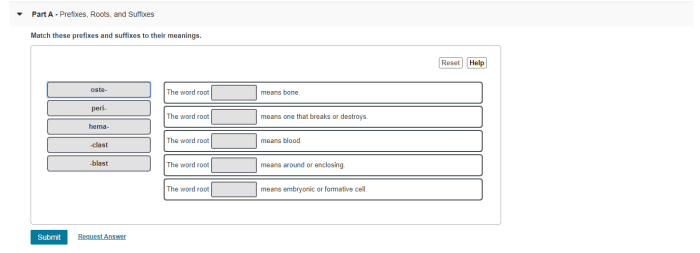 Prefixes suffixes roots