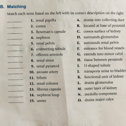 Appropriate solved certain transcribed