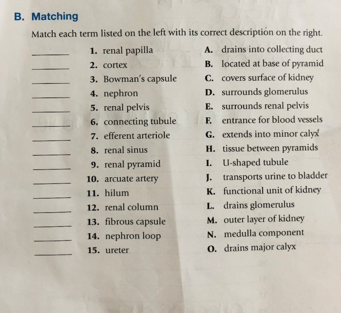 Appropriate solved certain transcribed