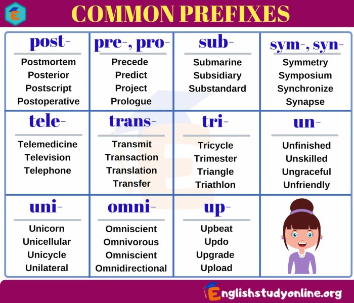 Prefixes suffixes terminology suffix worksheet veterinary biology studylib ap flashcards